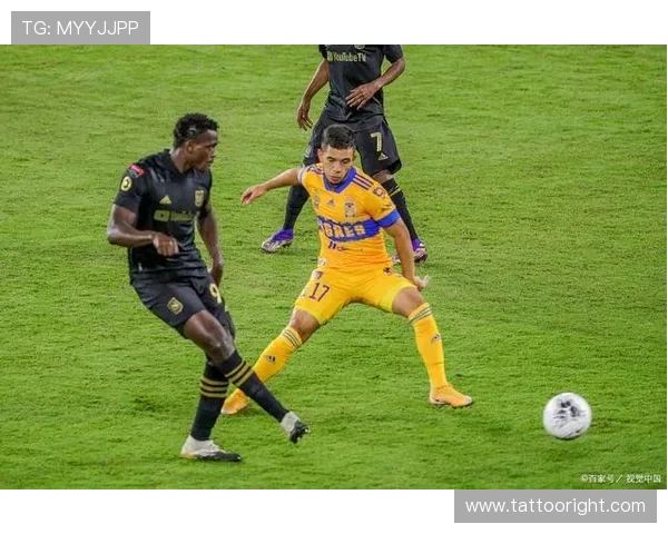 本·怀特本赛季防守数据与状态提升分析